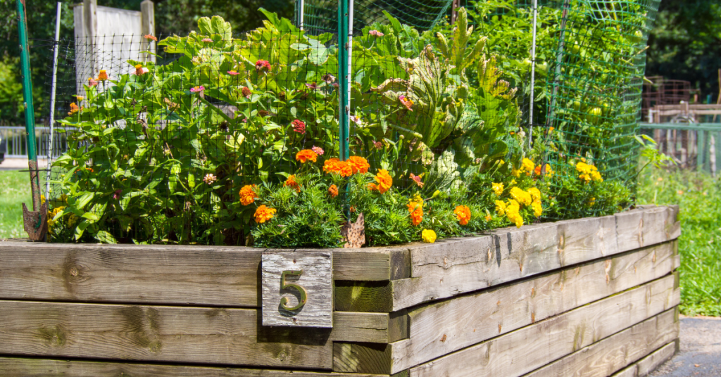 Garden Beds