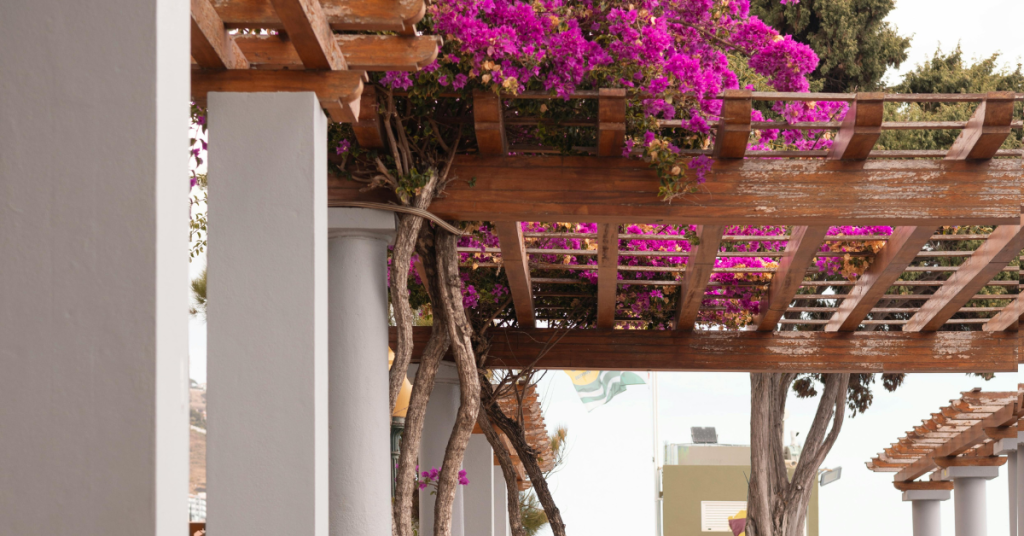 Pergola with Greenery