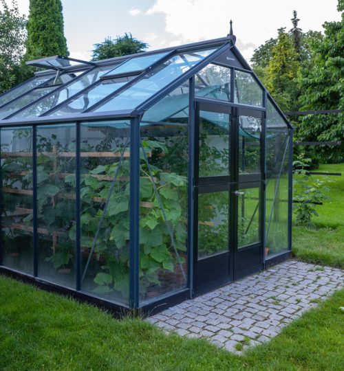 A,Small,Greenhouse,Stands,In,A,Garden