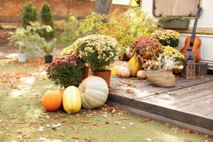 Basketswithpampasgrassdriedflowersearsandspikeletsin | h3 outdoor design & construction Baskets with Pampas Grass. Dried Flowers, Ears and Spikelets in Wicker Vase. Exterior Porch House with Fall Decor. Interior Cozy Yard with Fall Flowers Chrysanthemums Potted and Pumpkins. Halloween.