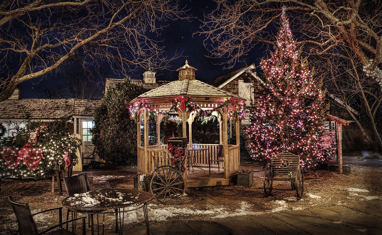 Christmas Backyard