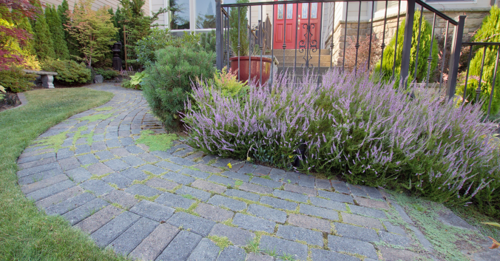 Paver Walkway