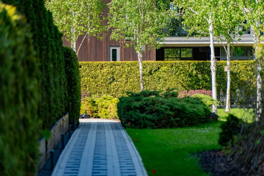 Stone-paved walkway curves through trimmed hedges and trees toward a building.